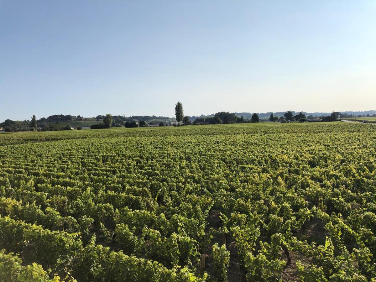 Clos De Bertinat Saint-Sulpice-de-Faleyrens Ngoại thất bức ảnh